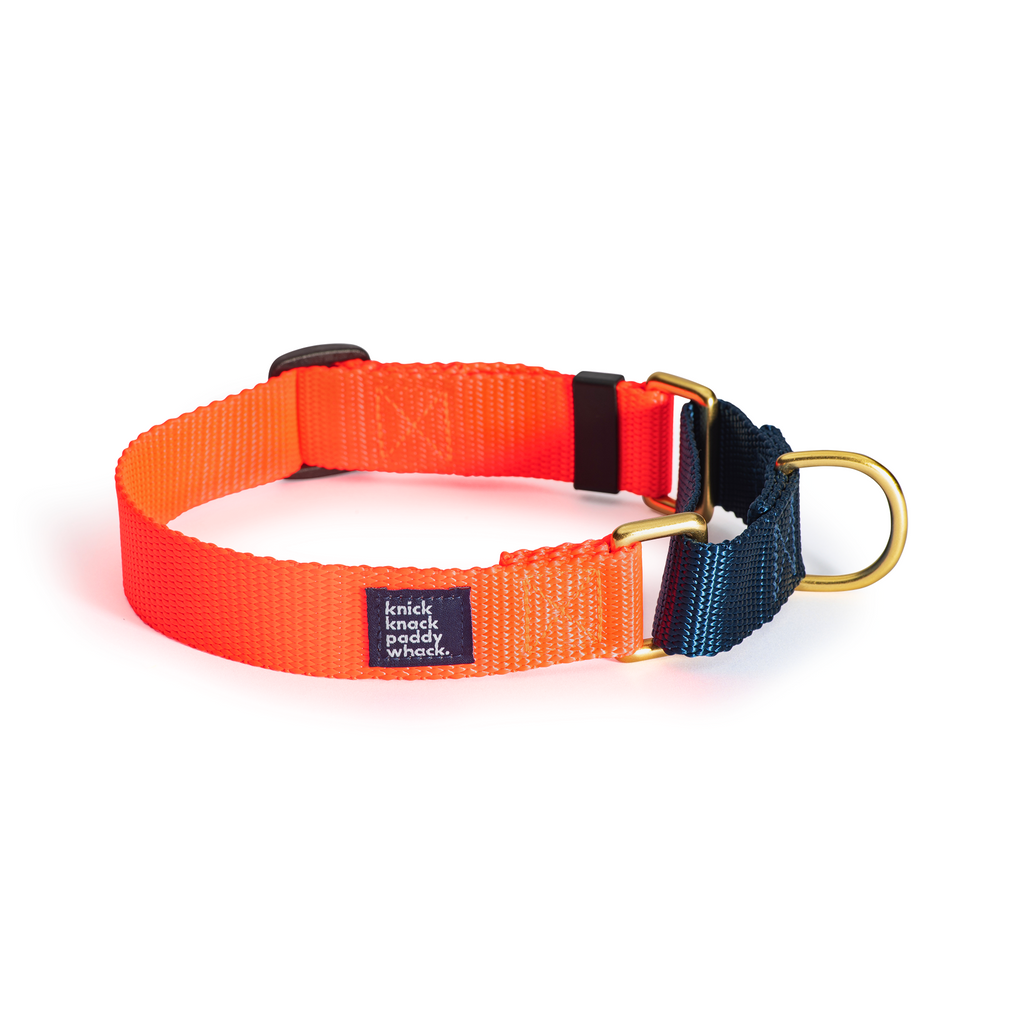 Dog plus bone collars outlet