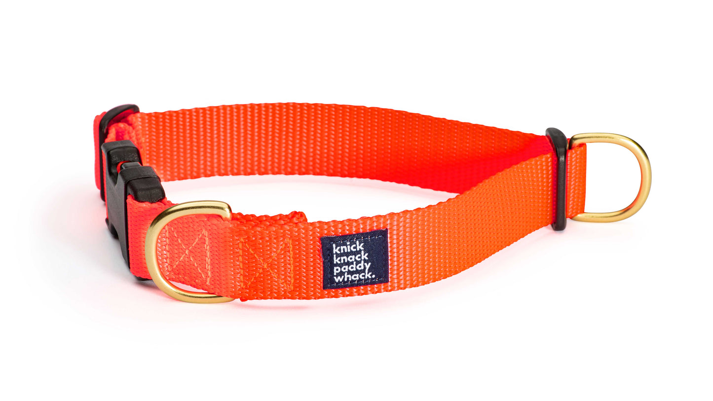 Neon Orange Buckle Collar