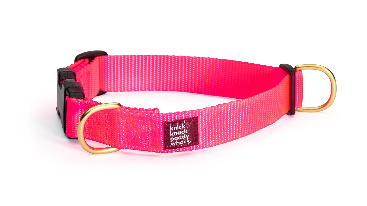 Neon Pink Buckle Collar