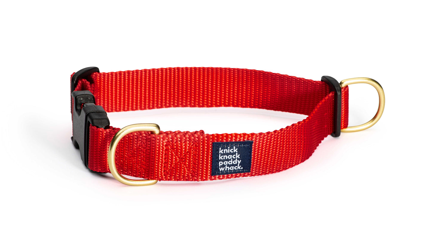 Red Buckle Collar