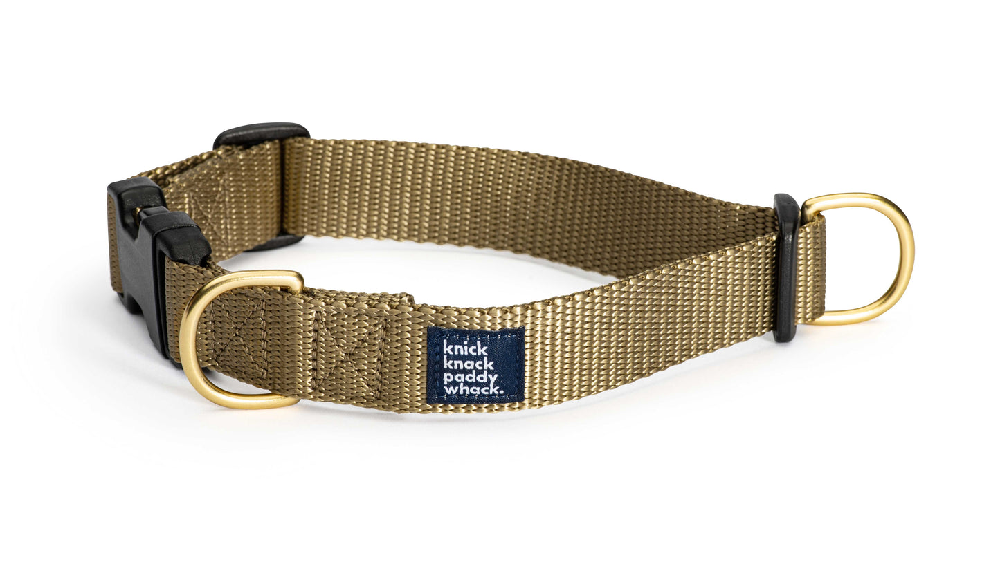 Gold Buckle Collar