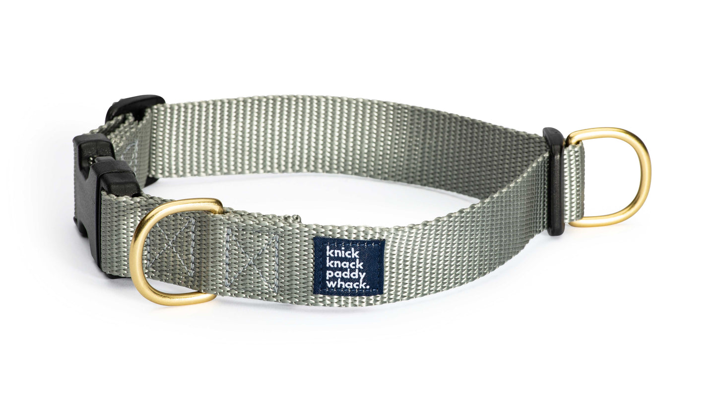 Silver Buckle Collar