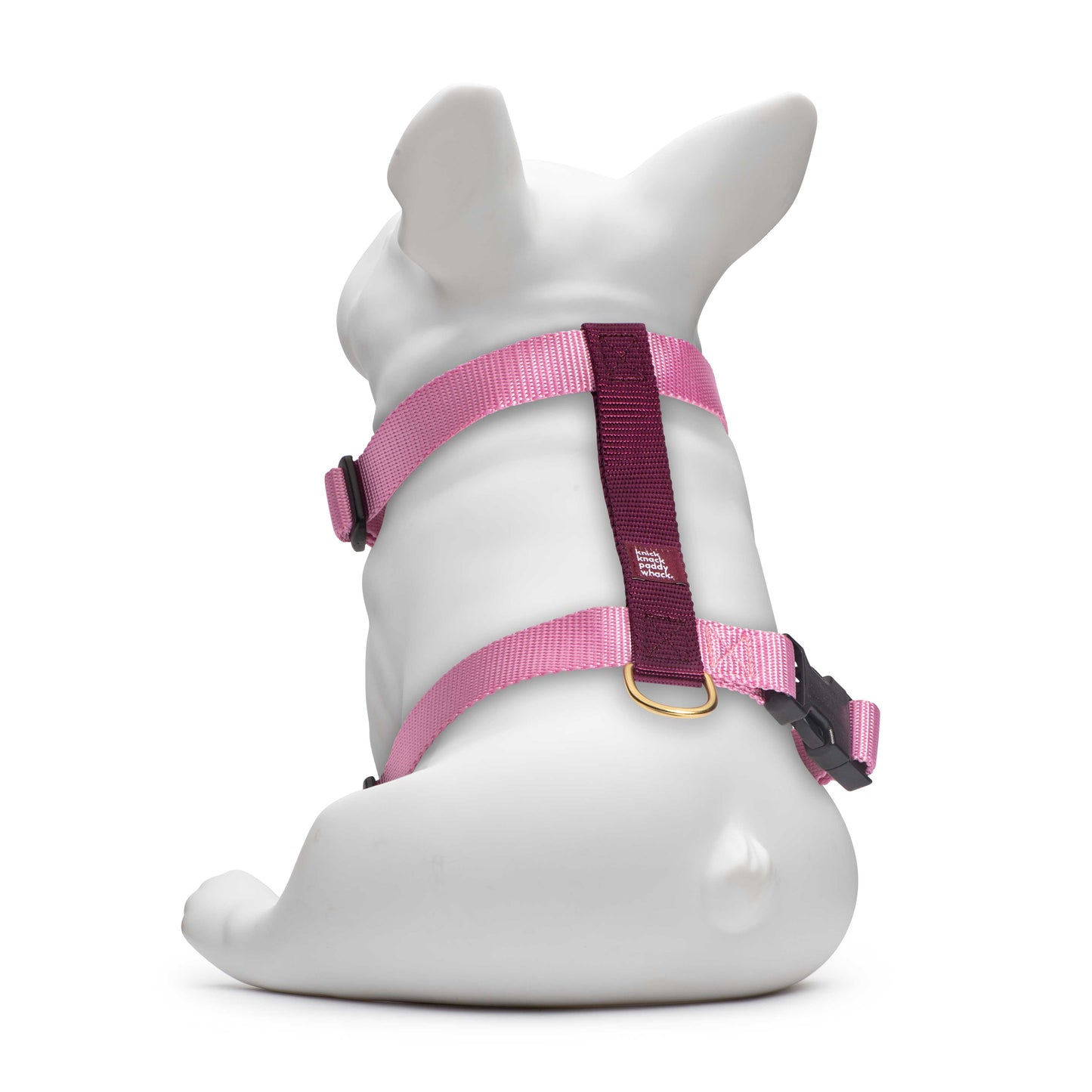 Rose & Purple Harness