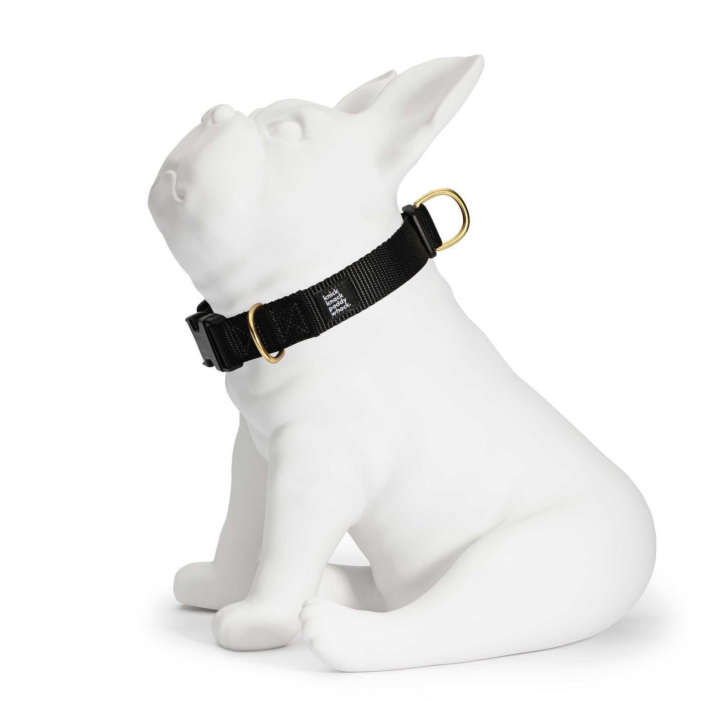 Black Buckle Collar