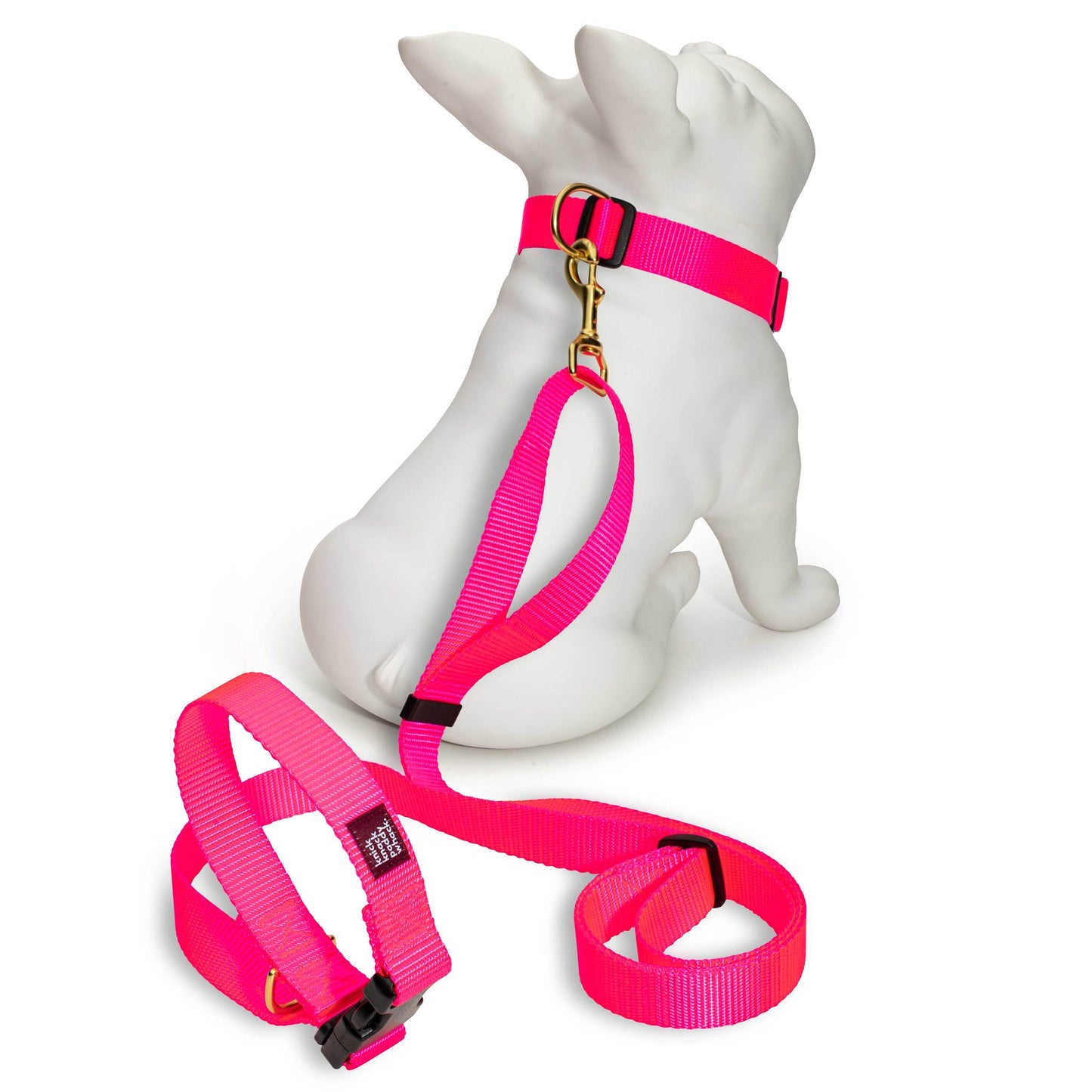 Neon Pink Leash