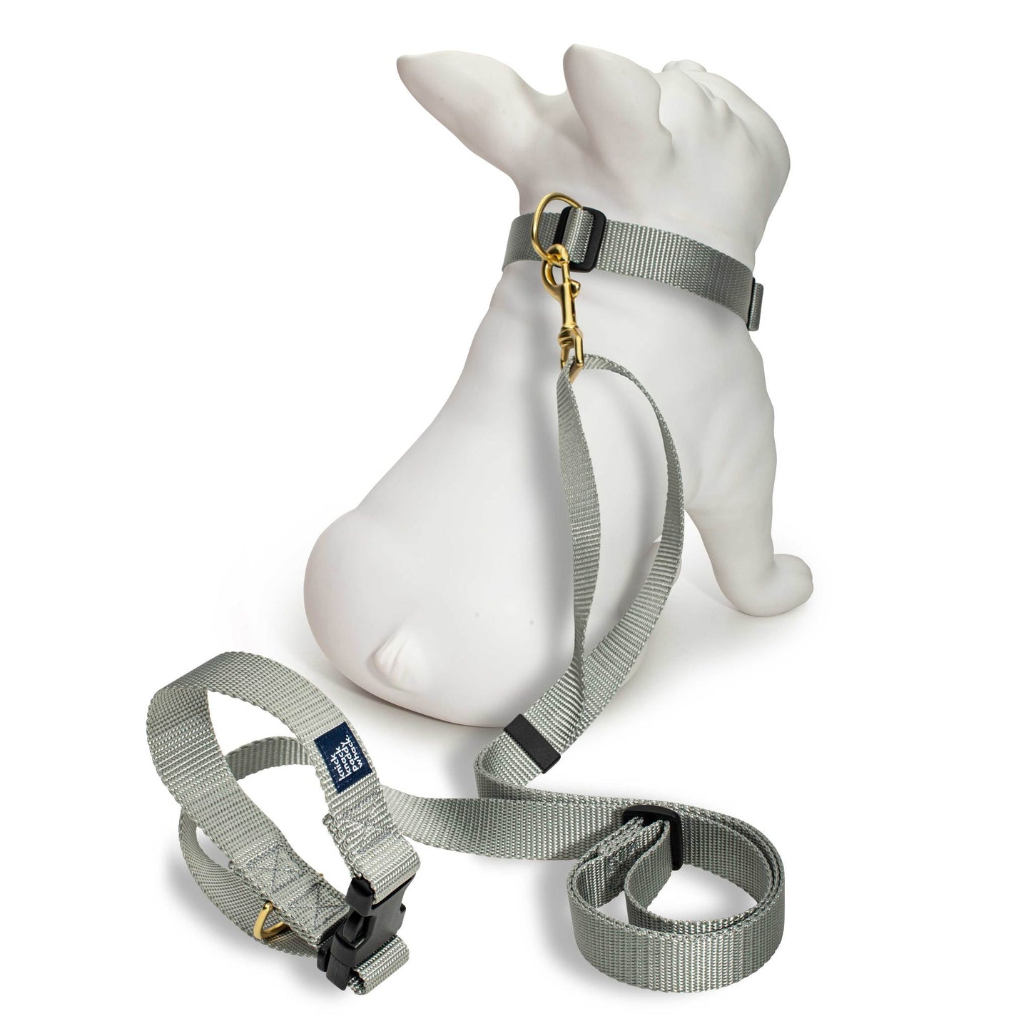 Silver Leash