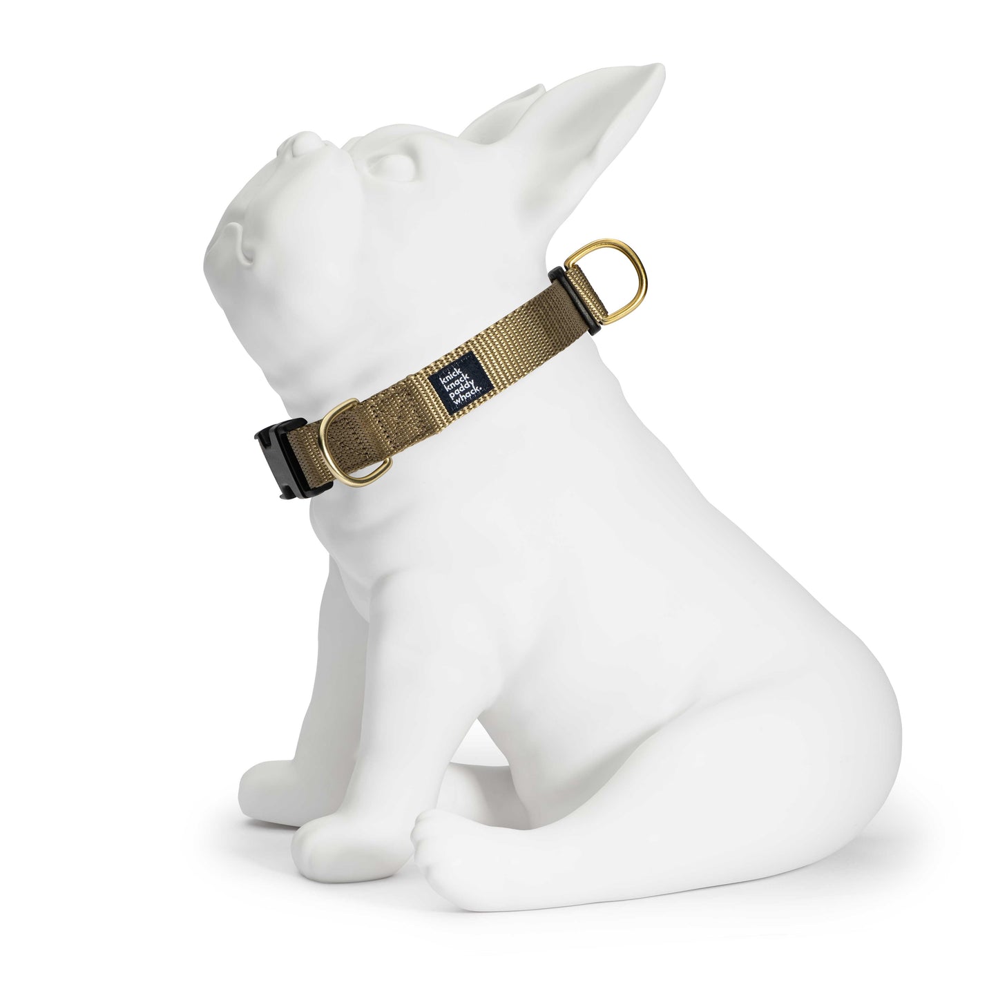 Gold Buckle Collar