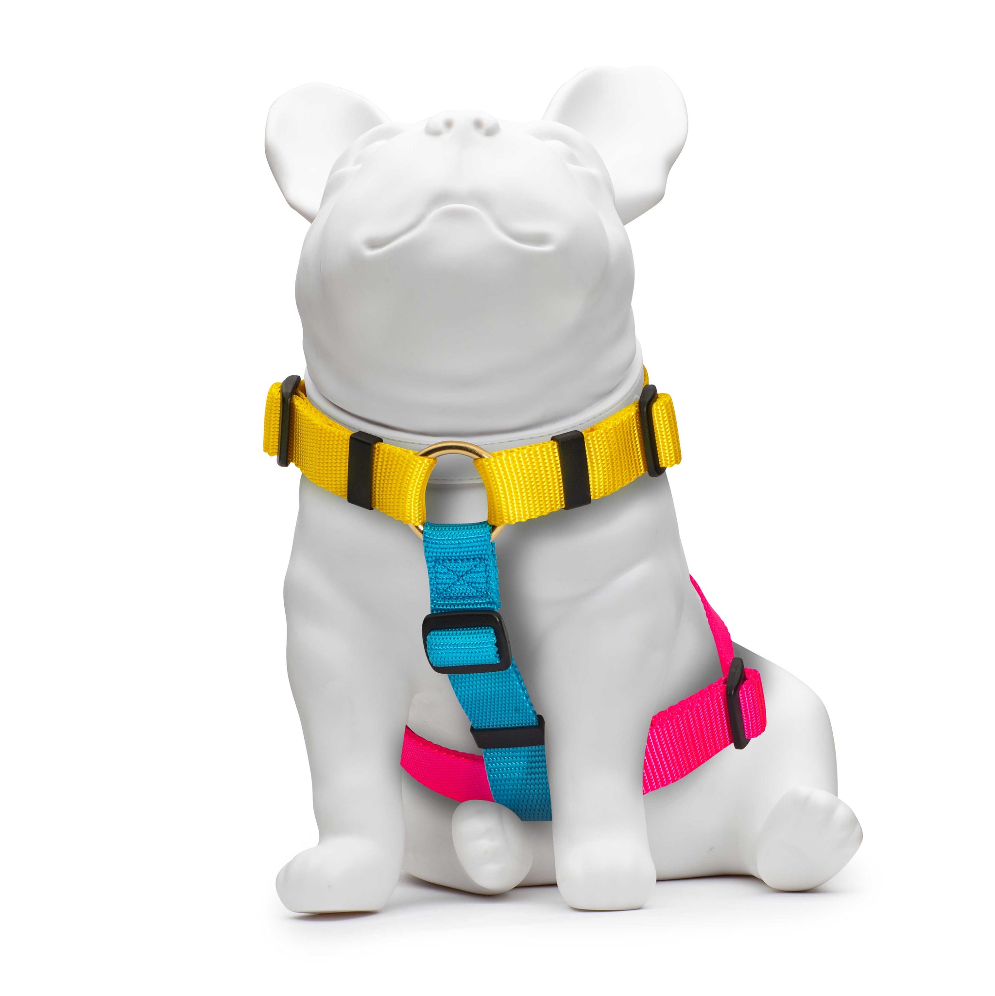 Jubilee Handmade Nylon H Harness | Knick Knack Gear – Knick Knack