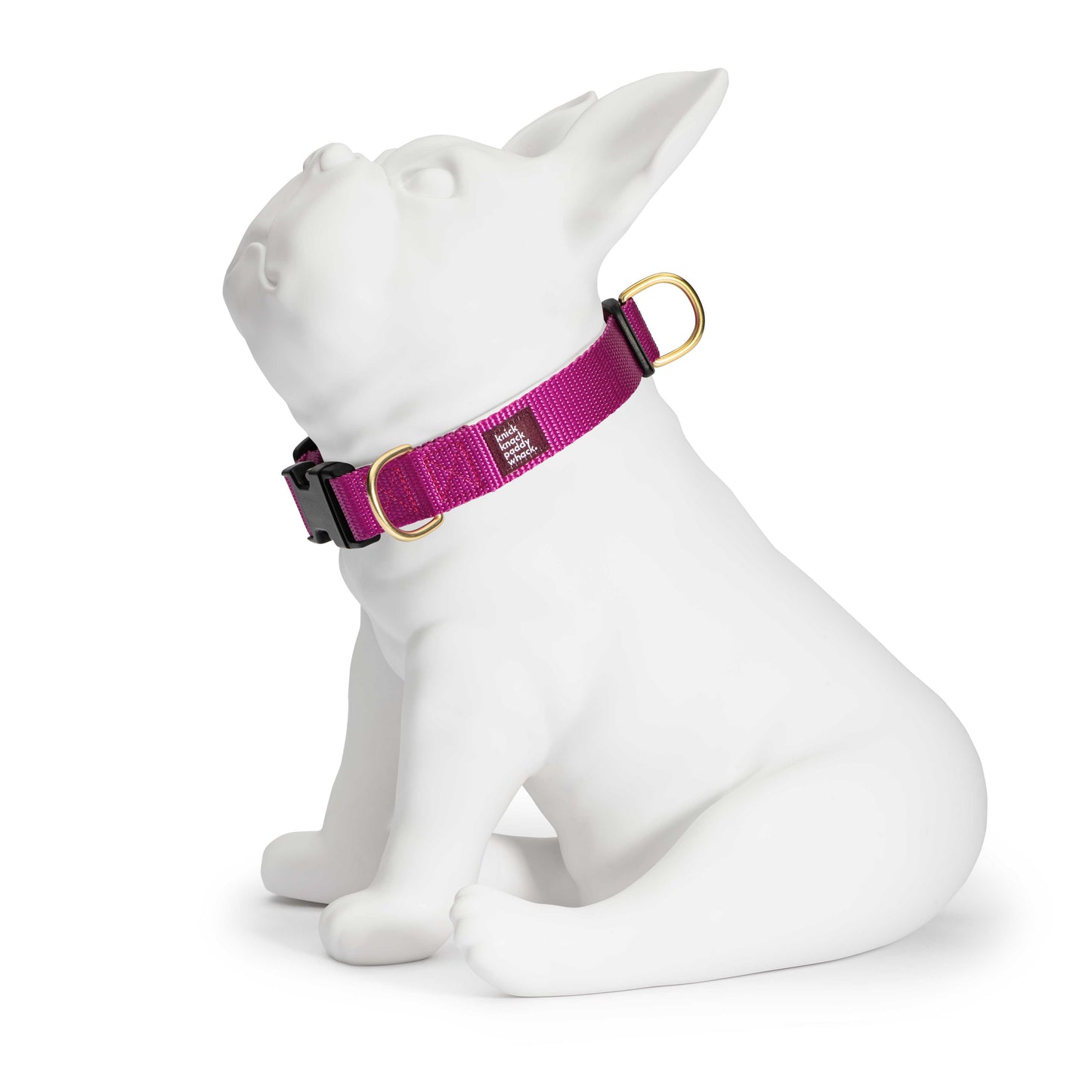 Magenta Buckle Collar