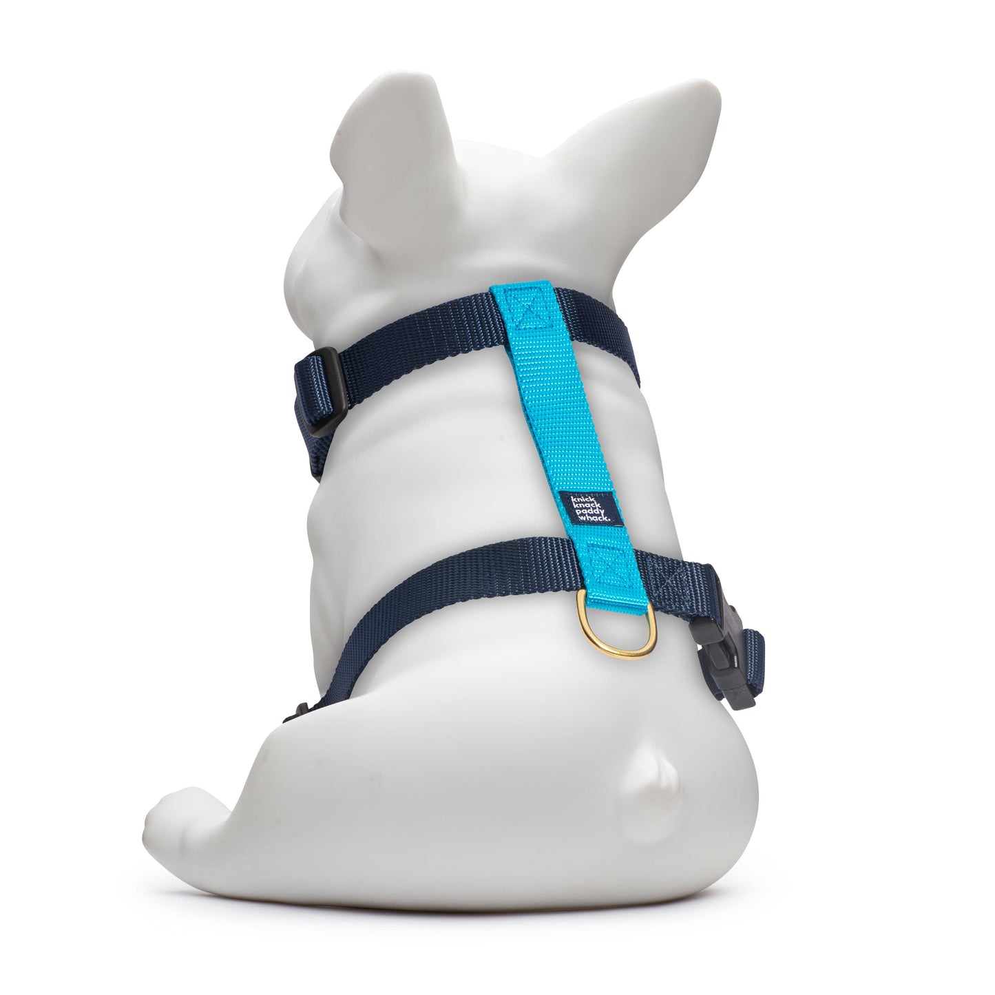 Navy & Blue Harness