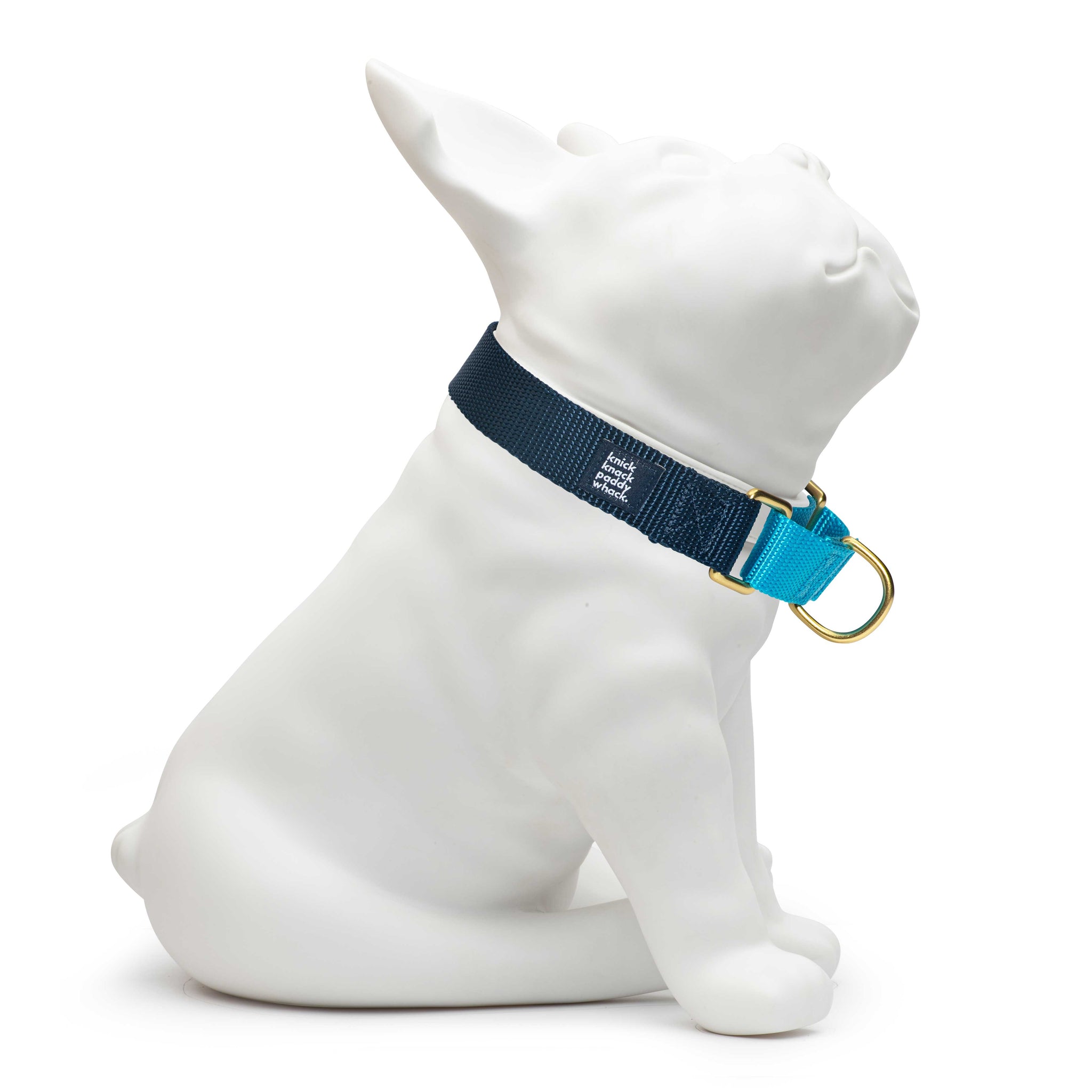 Dog collars shopify hot sale