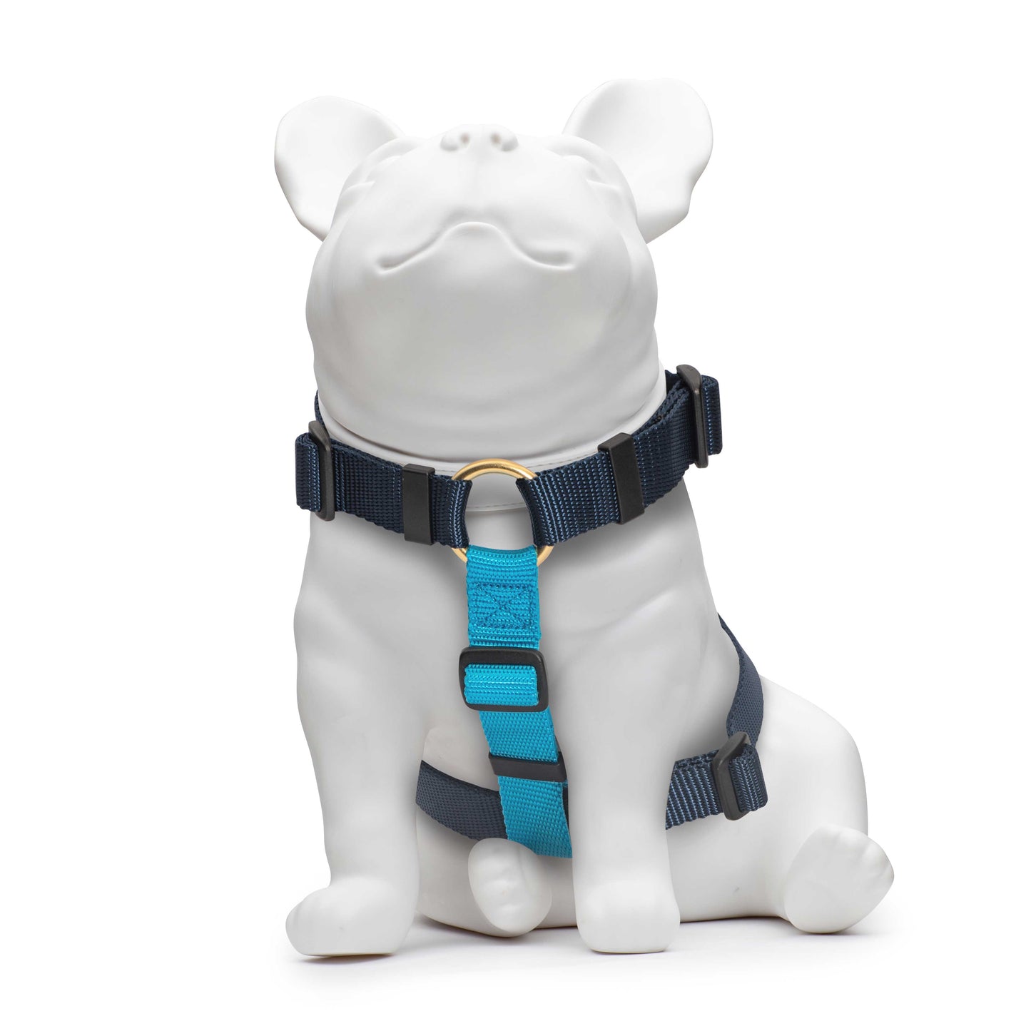 Navy & Blue Harness