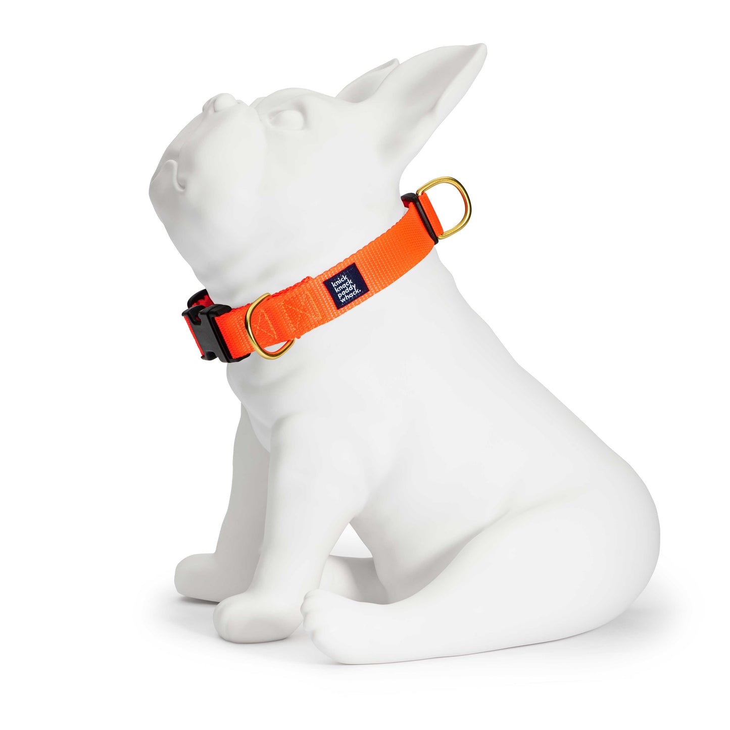 Neon Orange Buckle Collar