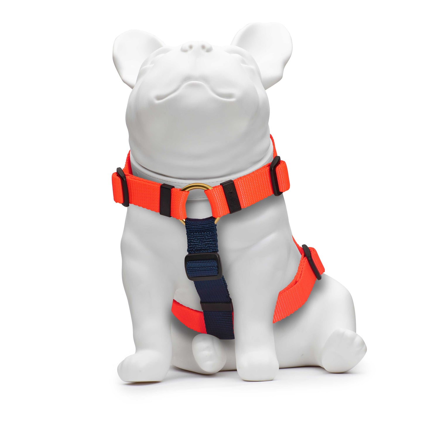 Neon Orange & Navy Harness