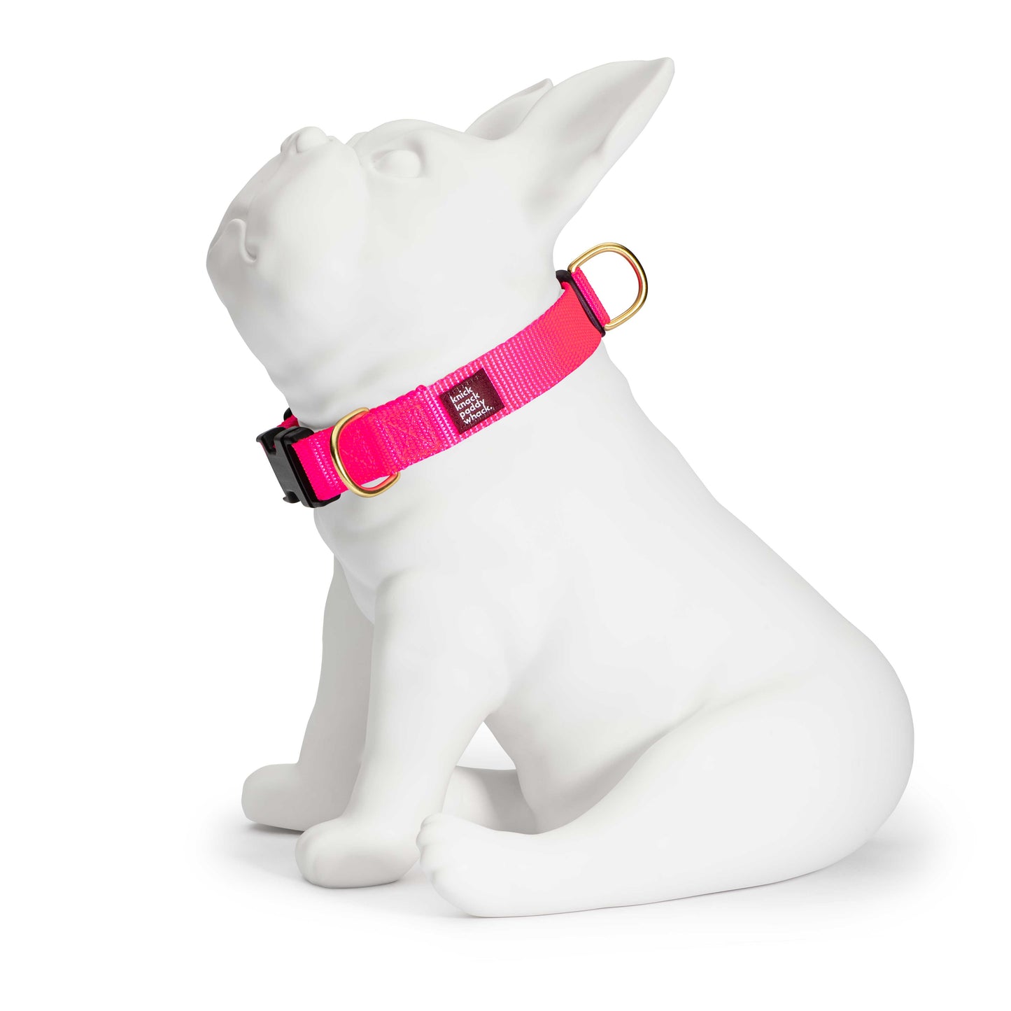 Neon Pink Buckle Collar