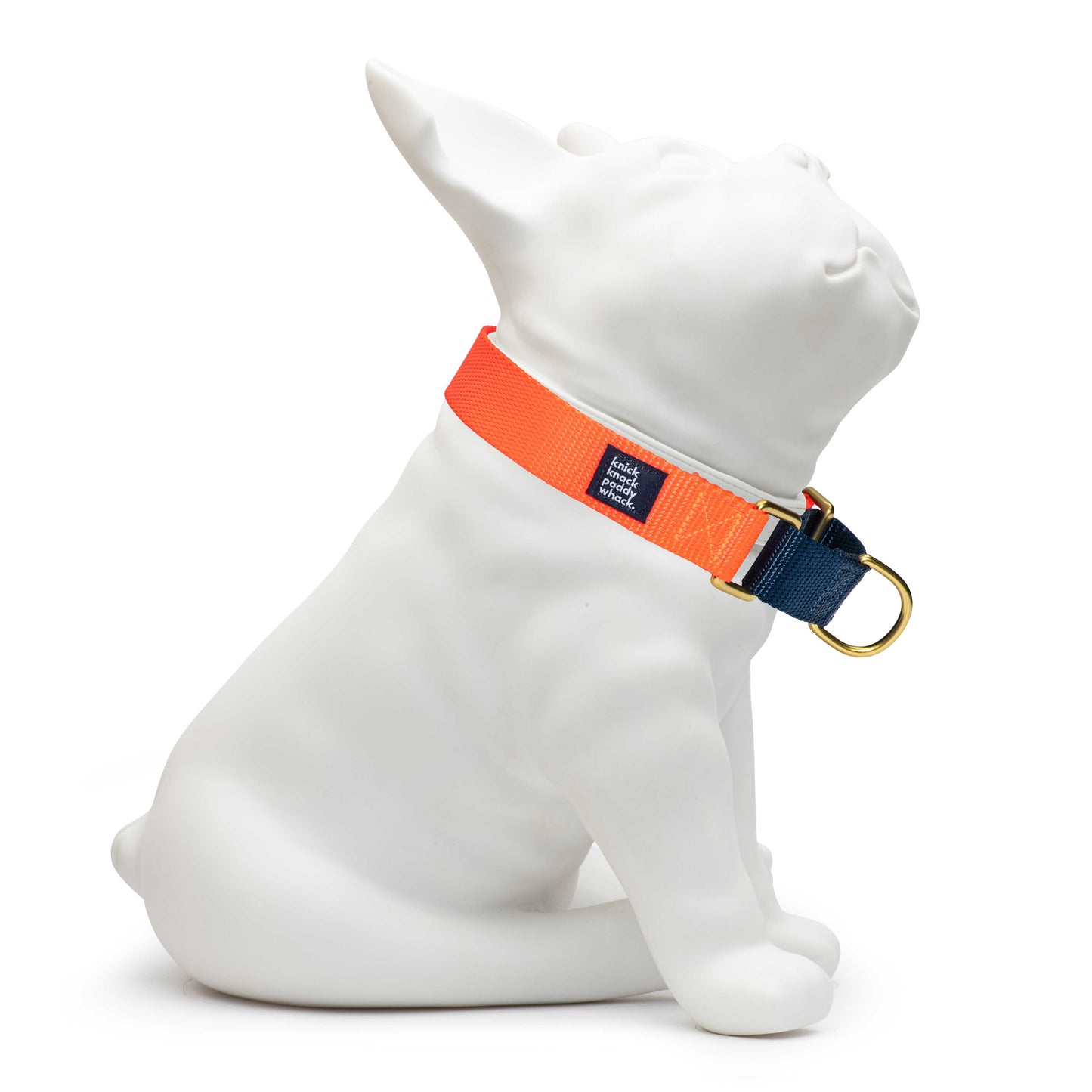 Neon Orange & Navy Martingale