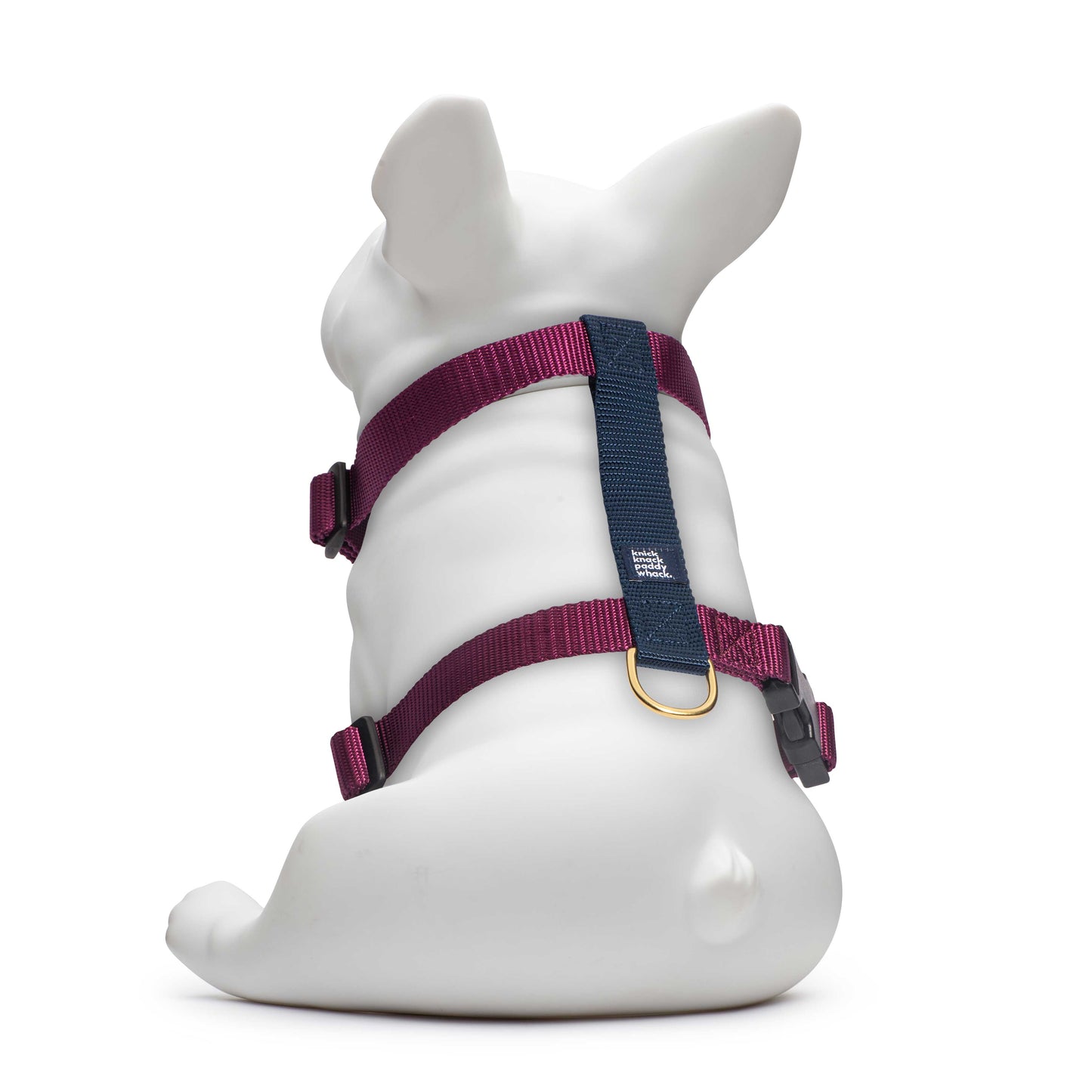Purple & Navy Harness
