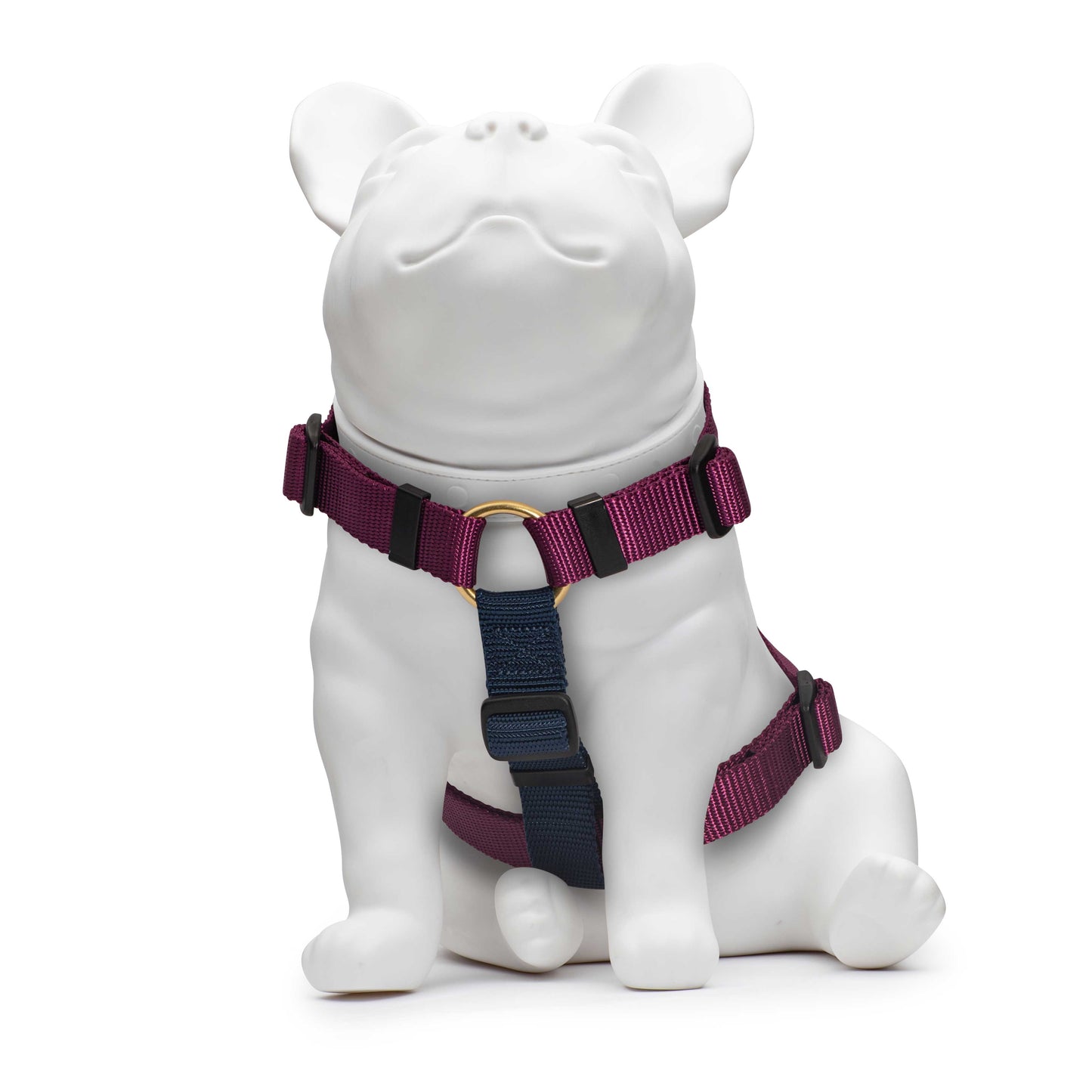 Purple & Navy Harness