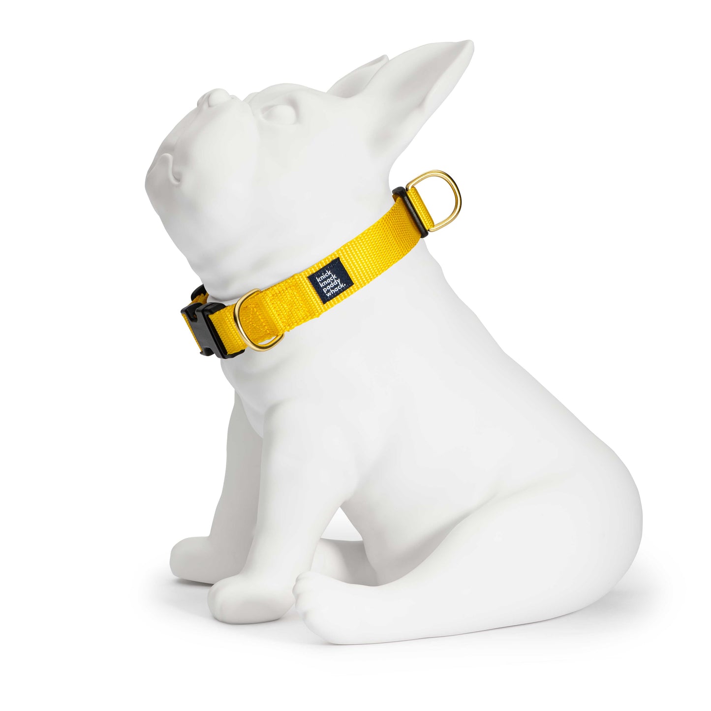 Yellow Buckle Collar